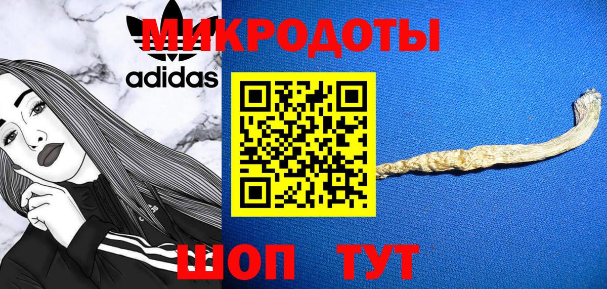 Псилоцибиновые грибы Psilocybine cubensis Елизово