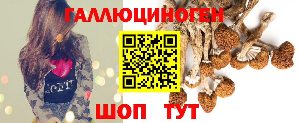 Елизово  Галлюциногенные грибы Psilocybe  Вход с VPN  Галлюциногенные грибы мухоморы 